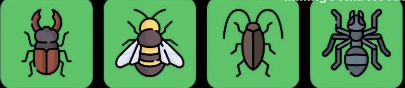 FLIES Daily Combo 11 April 2025